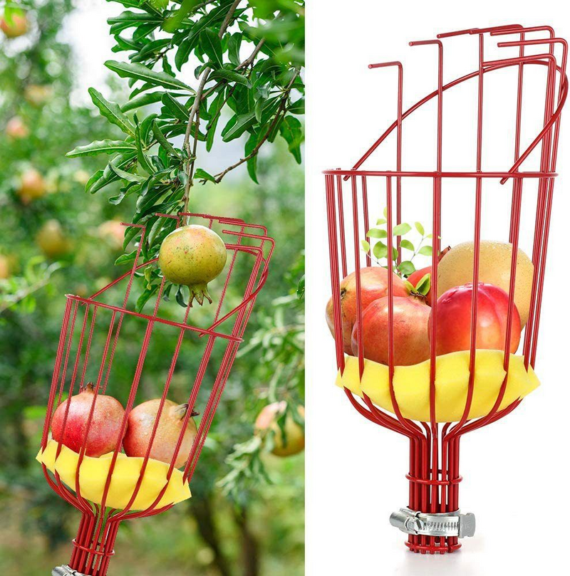 MH06528 Stainless Steel Fruit Picker